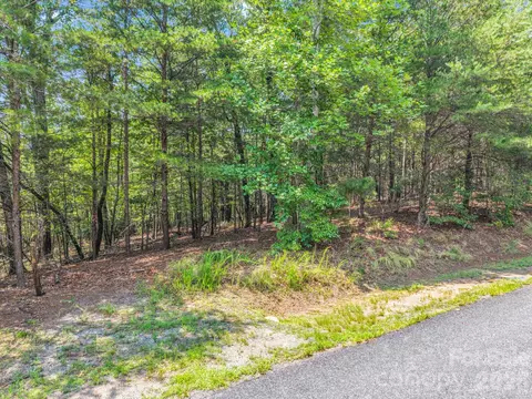 00 Lake Adger 60 Pkwy #60, Mill Spring, NC 28756 photo 20