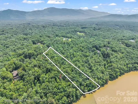 00 Lake Adger 60 Pkwy #60, Mill Spring, NC 28756 photo 4