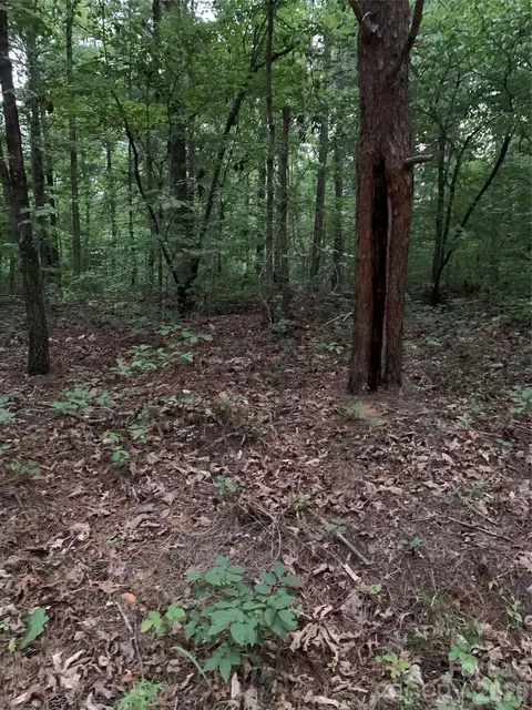 0 Ore Bank Rd, Smyrna, SC 29743