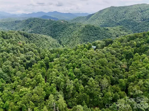 1156 Bear River Lodge Trl, Marshall, NC 28753 photo 15
