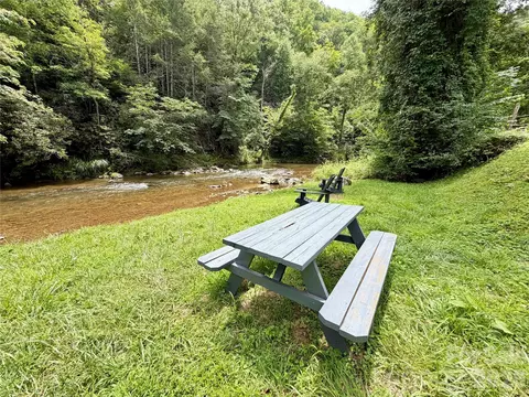 1156 Bear River Lodge Trl, Marshall, NC 28753 photo 19