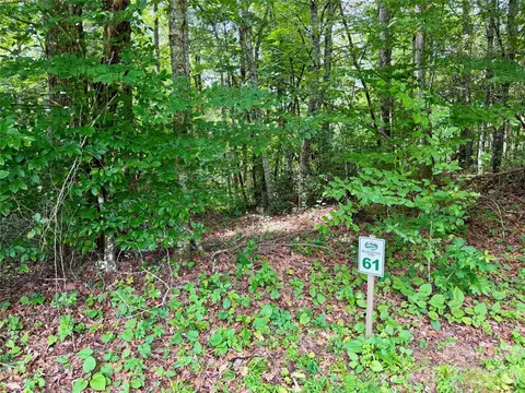 1156 Bear River Lodge Trl, Marshall, NC 28753 photo 7