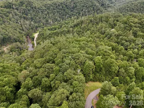 1156 Bear River Lodge Trl, Marshall, NC 28753 photo 13