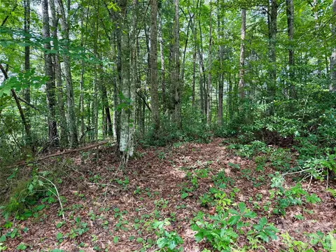 1156 Bear River Lodge Trl, Marshall, NC 28753 photo 10