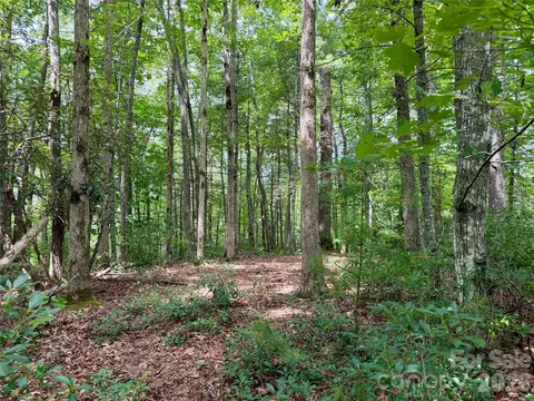 1156 Bear River Lodge Trl, Marshall, NC 28753 photo 11