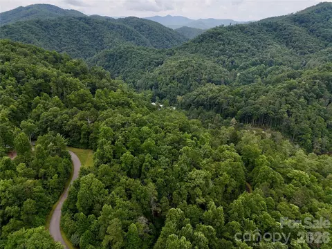 1156 Bear River Lodge Trl, Marshall, NC 28753 photo 14