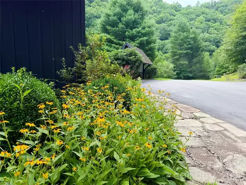 1156 Bear River Lodge Trl, Marshall, NC 28753 photo 25