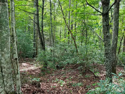 1156 Bear River Lodge Trl, Marshall, NC 28753 photo 12