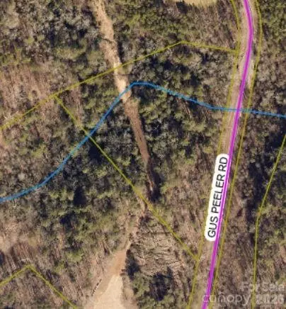 Gus Peeler 4 Road #4, Connelly Springs, NC 28612