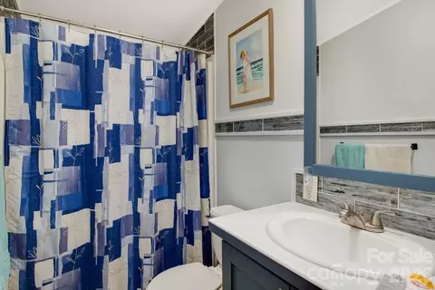 Bath - 1474 Pea Ridge Rd, Mill Spring, NC 28756 photo 3 of 3