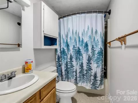 Bath - 1870 Palmer Rd, Mill Spring, NC 28756 photo 4 of 4