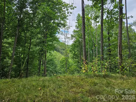 00 Wayward Cv, Clyde, NC 28721 photo 7