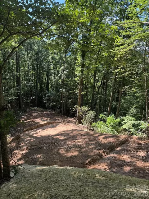 97 Hosta Dr, Sylva, NC 28779 photo 4