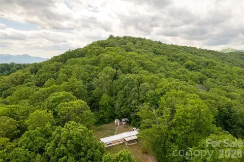30 Gertrude Ln, Candler, NC 28715