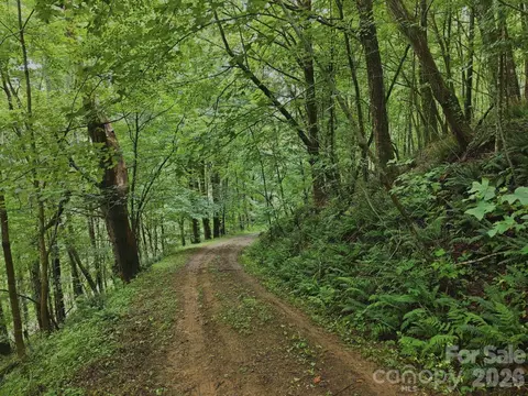220 Screaming Eagle Dr, Mars Hill, NC 28754 photo 15