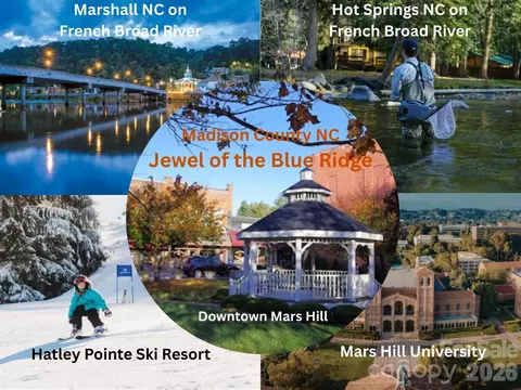220 Screaming Eagle Dr, Mars Hill, NC 28754 photo 19