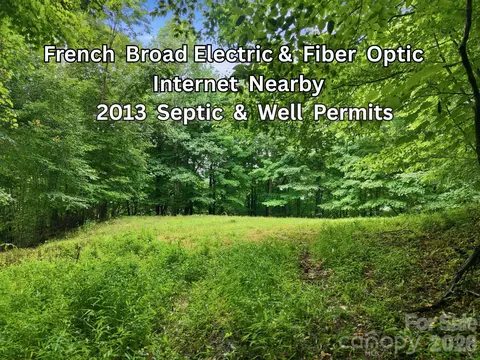 220 Screaming Eagle Dr, Mars Hill, NC 28754 photo 8