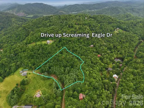 220 Screaming Eagle Dr, Mars Hill, NC 28754 photo 2
