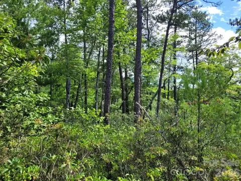 0 Oconee Dr, Marion, NC 28752 photo 18