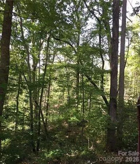 Bluebird Terrace, Lake Lure, NC 28746