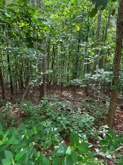 0 Cove Gap 1 Rd #1, Moravian Falls, NC 28654