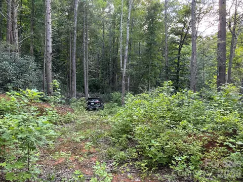Peace Wood 41 Lane #41, Hendersonville, NC 28792