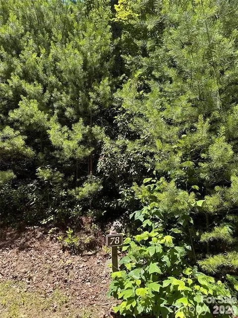 66 Boone Cove Rd, Zirconia, NC 28790