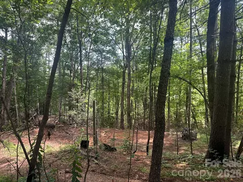 210240 Gobbler 1921 Cir #19/21, Horse Shoe, NC 28742