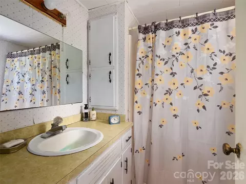 Bath - 46 Trevor Ct, Clyde, NC 28721 photo 1 of 2
