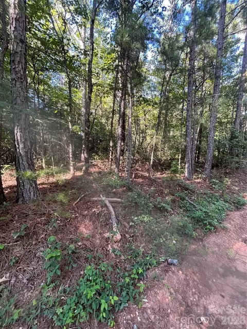 0 Ore Bank 4 Rd #4, Smyrna, SC 29743