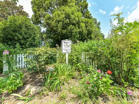 Exterior - 439 Ohenry Ave, Davidson, NC 28036 photo 9 of 11