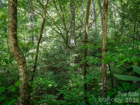 M11 Pine Mountain Trail, Brevard, NC 28712 photo 4