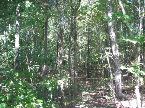 25 Ac Brandon Rd, Clover, SC 29710 photo 4
