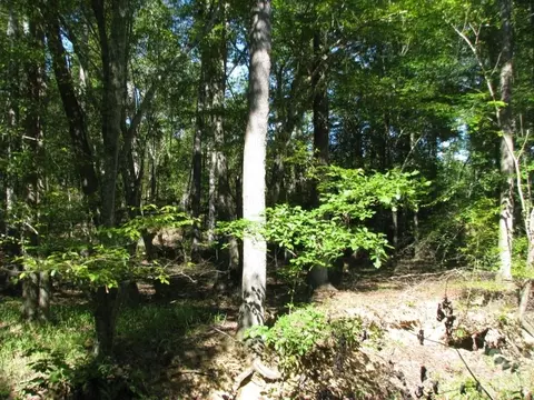 25 Ac Brandon Rd, Clover, SC 29710 photo 3