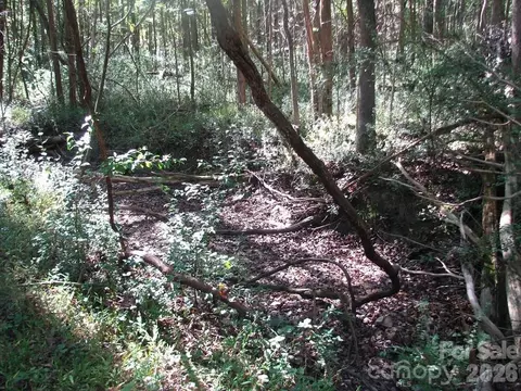 25 Ac Brandon Rd, Clover, SC 29710 photo 5