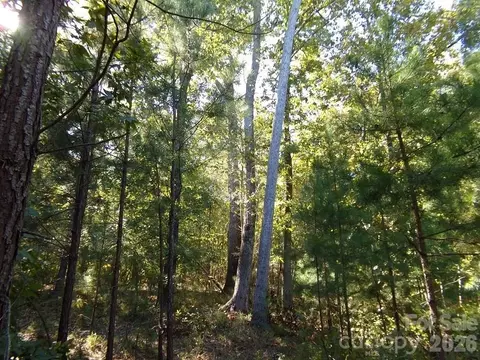 25 Ac Brandon Rd, Clover, SC 29710 photo 6