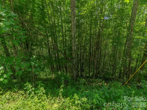 000 Rough Knob Rd, Clyde, NC 28721 photo 3
