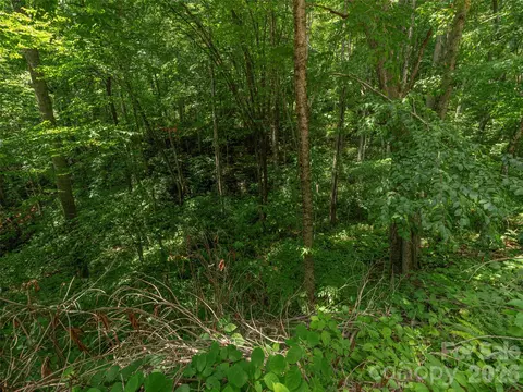 000 Rough Knob Rd, Clyde, NC 28721 photo 2