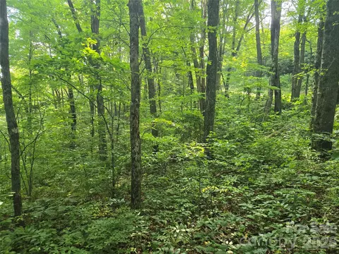 000 Greenspire Dr, Sylva, NC 28779 photo 6