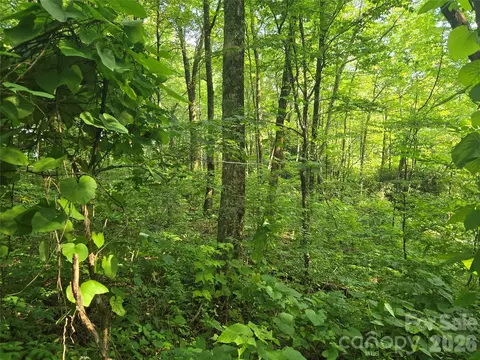000 Greenspire Dr, Sylva, NC 28779 photo 9