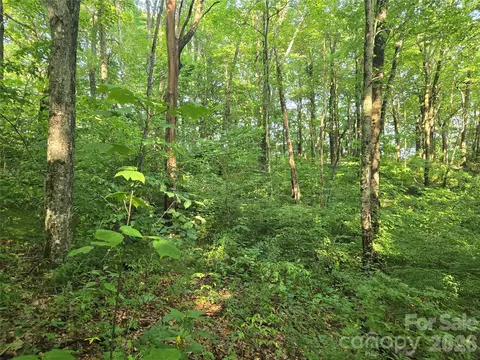 000 Greenspire Dr, Sylva, NC 28779 photo 10