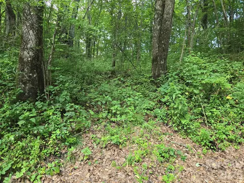 000 Greenspire Dr, Sylva, NC 28779 photo 11