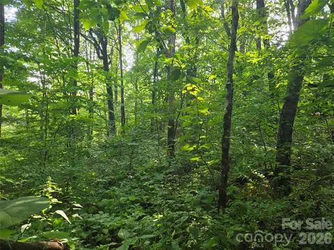 000 Greenspire Dr, Sylva, NC 28779 photo 8