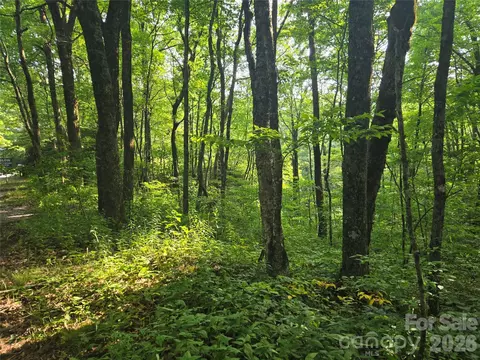 000 Greenspire Dr, Sylva, NC 28779 photo 7