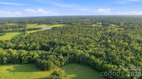 View/Area - 1979 Willie Usher Rd, Lancaster, SC 29720 photo 3 of 15