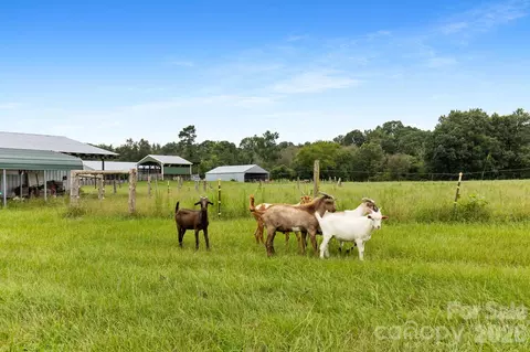 Other - 1333 Bunnlevel Erwin Rd, Bunnlevel, NC 28323 photo 11 of 13