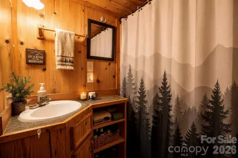 Bath - 21 Bear Cub Dr, Spruce Pine, NC 28777 photo 1 of 1