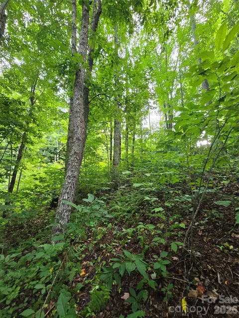 108 Tenderfoot 108 109 Trl #108 & 109, Maggie Valley, NC 28751