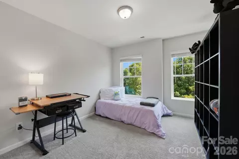 Other - 16705 Summers Walk Blvd, Davidson, NC 28036 photo 13 of 15