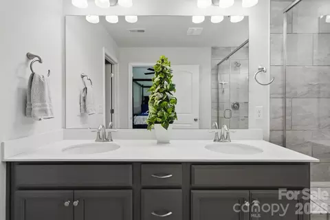 Other - 16705 Summers Walk Blvd, Davidson, NC 28036 photo 12 of 15
